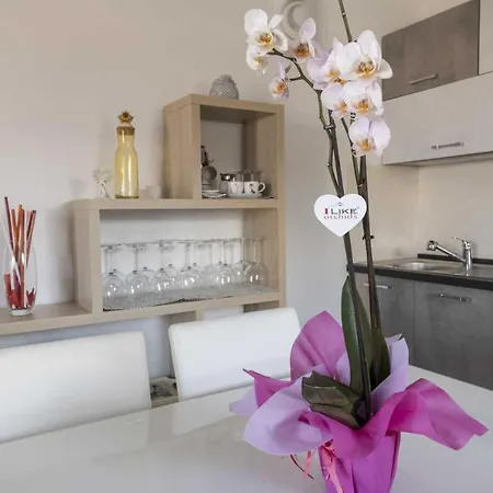 Aria Di Vacanza - S'abba Lughente Cod 17 *